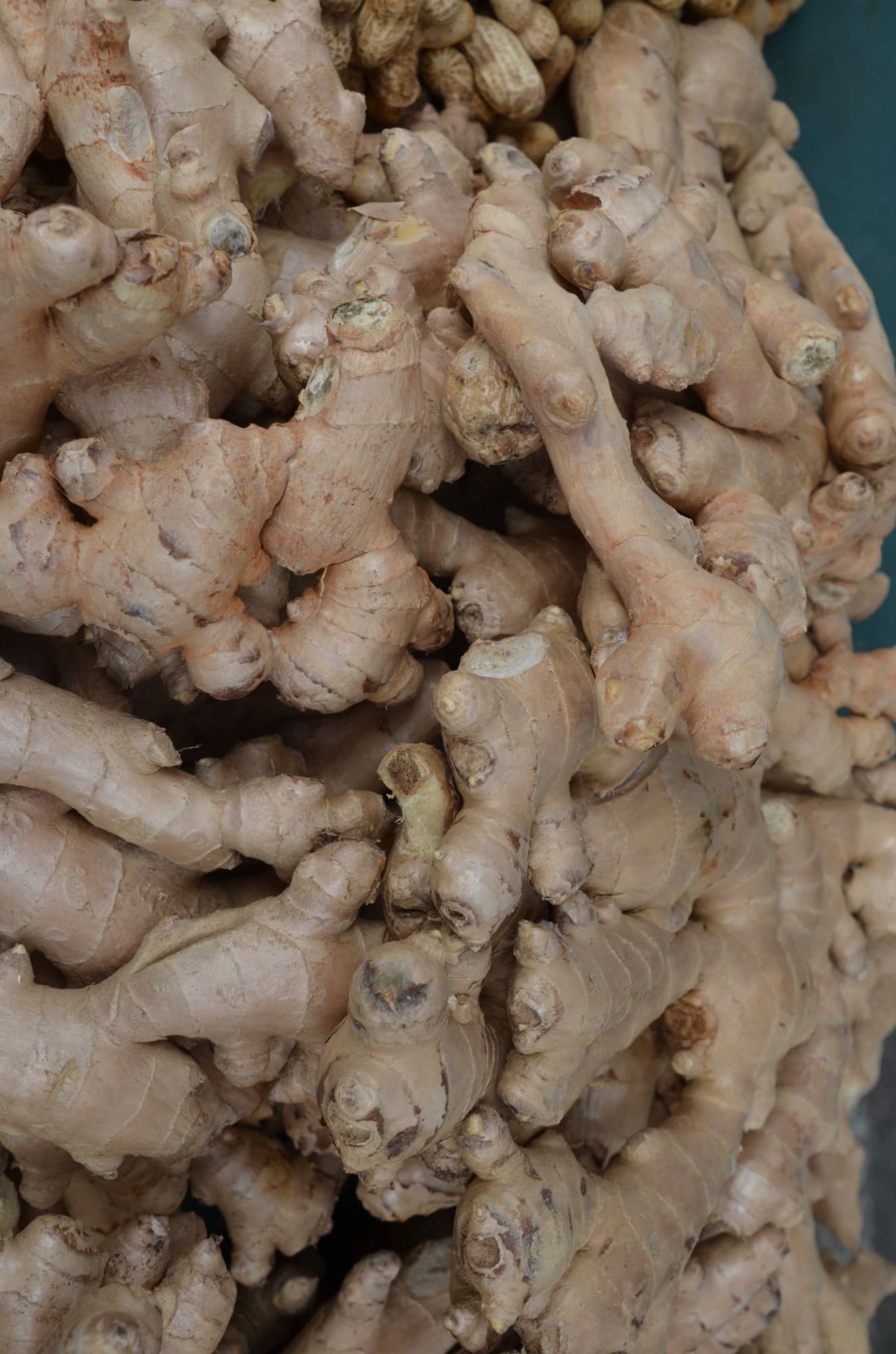 Ginger Seeds image 1